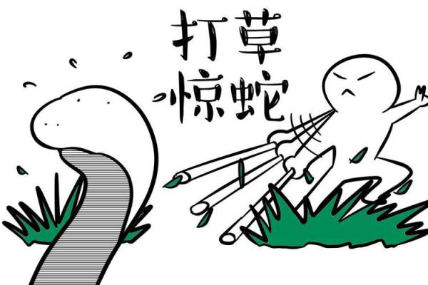 打草惊蛇是什么生肖 打草惊蛇是什么生肖