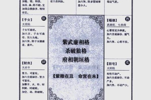 2025年3月16日丑时男命紫微斗数全解盘 2025年3月16日丑时男命紫微斗数全解盘