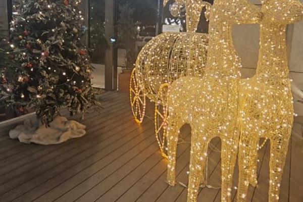 星星点灯是什么生肖(星星点灯是什么生肖) 星星点灯是什么生肖(星星点灯是什么生肖)