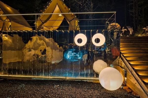 星星点灯是什么生肖(星星点灯是什么生肖) 星星点灯是什么生肖(星星点灯是什么生肖)