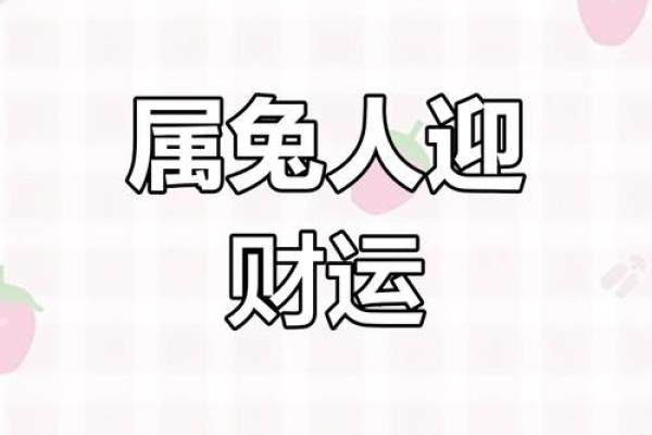 75年属兔人2025年全年运势运程_75年属兔人2025年多少岁 75年属兔人2025年全年运势运程_75年属兔人2025年多少岁