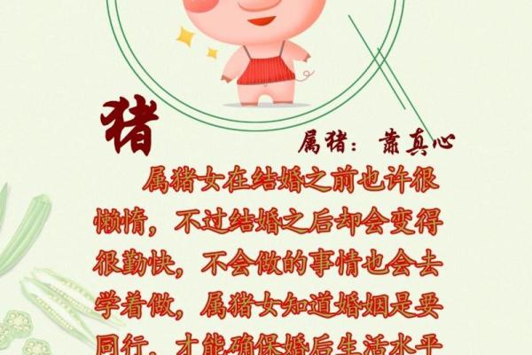 属龙和属猪的婚姻相配吗_属龙和属猪的婚姻相配吗 属龙和属猪的婚姻相配吗_属龙和属猪的婚姻相配吗