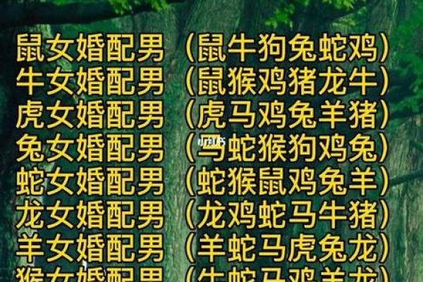 属虎和属羊的婚配好不好_属虎和属羊的婚配好不好生肖配对解析 属虎和属羊的婚配好不好_属虎和属羊的婚配好不好生肖配对解析