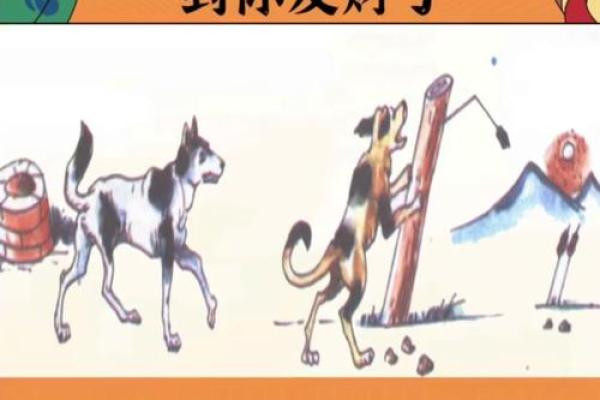 贪得无厌是指什么生肖