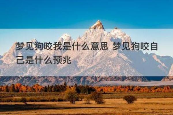 女人梦见狗是吉兆 女人梦见狗是吉兆