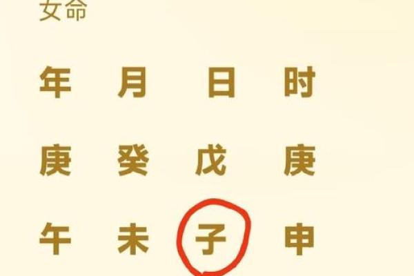夫妻宫廉贞 夫妻宫廉贞天府