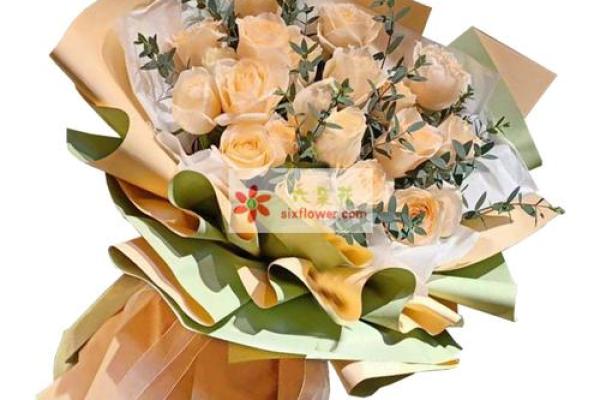 22朵玫瑰 22朵玫瑰