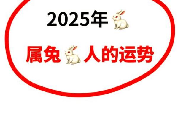 2025年属兔每月运势及运程农历网 2025年属相运势及运程 2025年属兔每月运势及运程农历网 2025年属相运势及运程