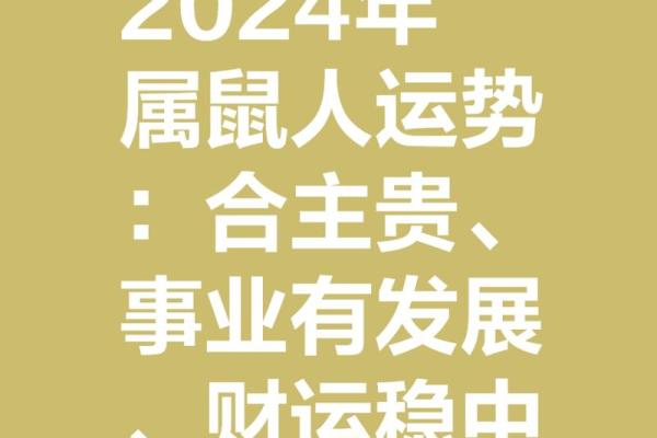 2023年属鼠人的全年运势 2023年属鼠人的全年运势
