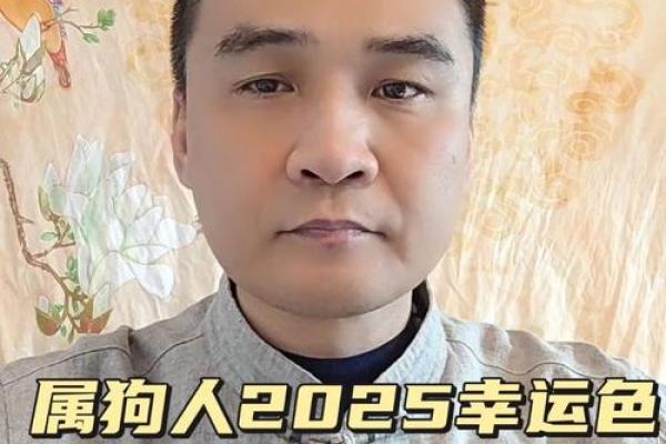 2025年属狗人的运气 2025年属狗人运势解析财运事业感情全预测 2025年属狗人的运气 2025年属狗人运势解析财运事业感情全预测