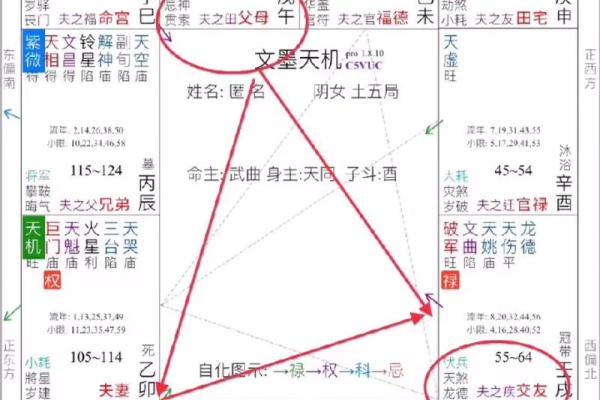 2025年3月23日丑时男命紫微斗数全解盘 2025年3月23日丑时男命紫微斗数全解盘