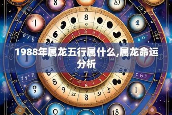 88年龙五行属什么_1988年龙五行属什么 88年龙五行属什么_1988年龙五行属什么