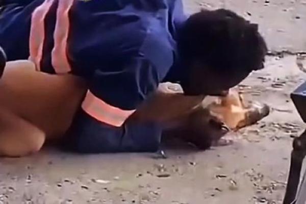 男人梦见狗咬是吉兆 男人梦见狗咬是吉兆