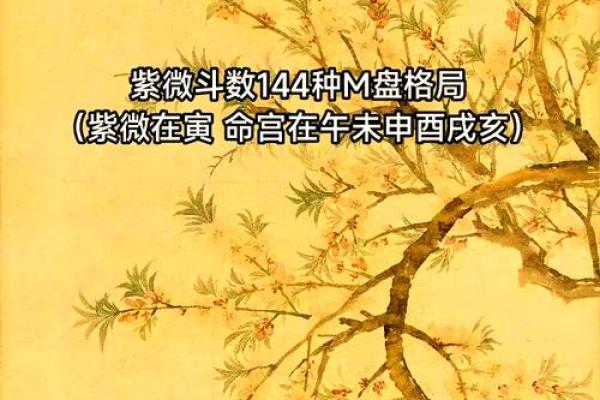 2025年3月15日寅时女命紫微斗数全解盘