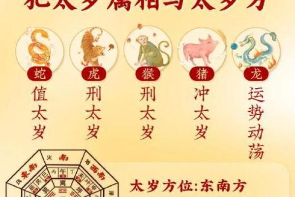 声东击西巧计策什么生肖(声东击西巧计策打一肖) 声东击西巧计策什么生肖(声东击西巧计策打一肖)