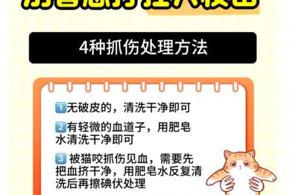 梦见被猫咬 梦见被猫咬