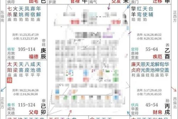 2025年2月17日寅时男命紫微斗数全解盘