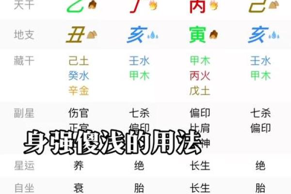 免费四柱八字排盘测算精准解析你的命运密码 免费四柱八字排盘测算精准解析你的命运密码