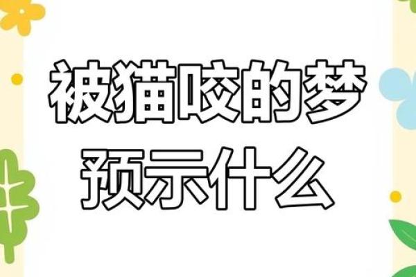 女人梦见猫是什么预兆 女人梦见猫是什么预兆