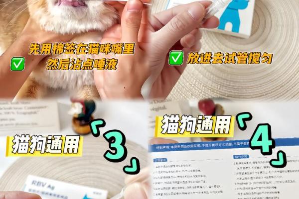 梦见被猫抓伤是什么预兆