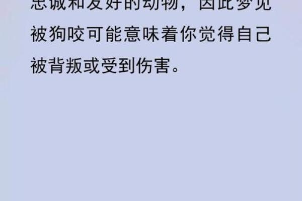 梦见狗是什么预兆 男性