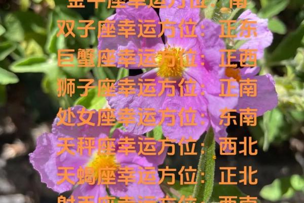 白羊座今年运势如何(白羊座今年运势如何女生)