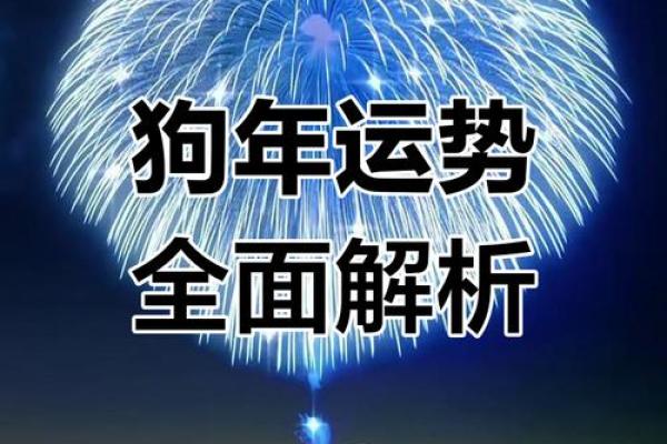 2025属狗男全年运势_2025属狗男全年运势怎么样 2025属狗男全年运势_2025属狗男全年运势怎么样