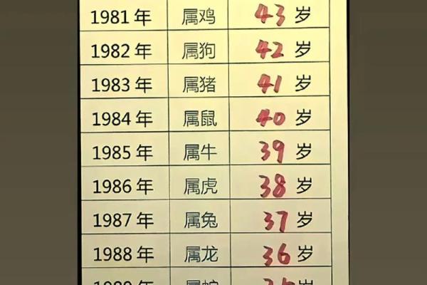 1893年属什么生肖 1893年属什么生肖