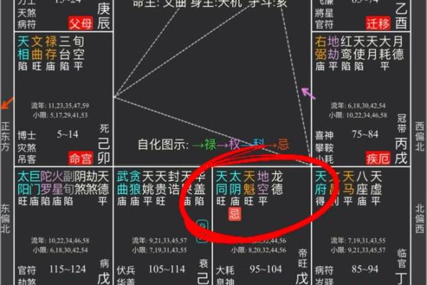 2025年3月29日丑时男命紫微斗数全解盘 2025年3月29日丑时男命紫微斗数全解盘