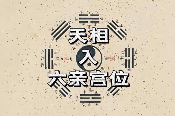 凤阁夫妻宫_紫微斗数凤阁在夫妻宫 凤阁夫妻宫_紫微斗数凤阁在夫妻宫