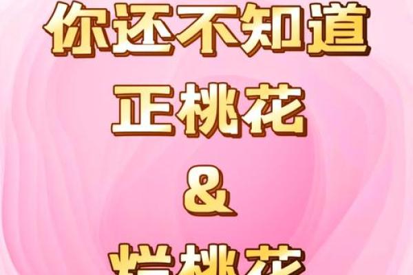 属猪2025年桃花劫遇真爱 2025属猪的烂桃花是谁