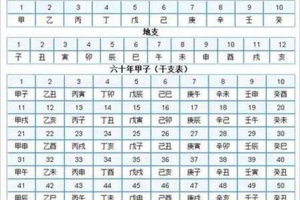生辰八字天干地支查询表_生辰八字天干地支查询表精准命理分析指南 生辰八字天干地支查询表_生辰八字天干地支查询表精准命理分析指南
