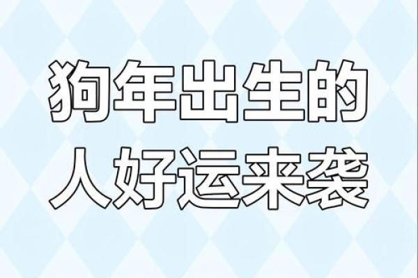 2025年82年属狗女运势解析财运事业感情全揭秘