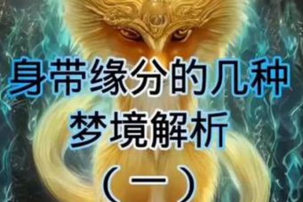 有缘分的人梦境解析 带仙缘的500种梦境 有缘分的人梦境解析 带仙缘的500种梦境