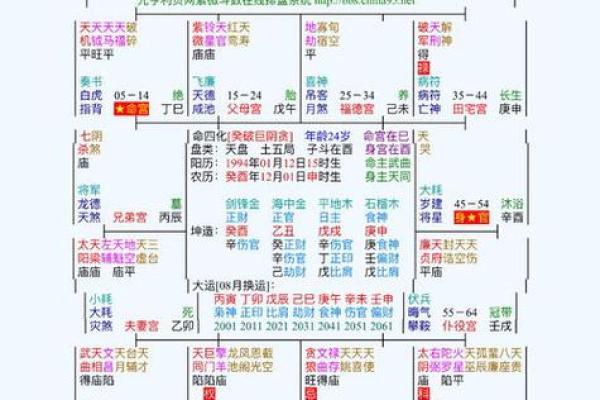 2025年3月4日寅时男命紫微斗数全解盘