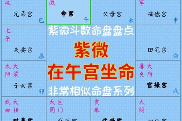 2025年3月4日寅时男命紫微斗数全解盘 2025年3月4日寅时男命紫微斗数全解盘