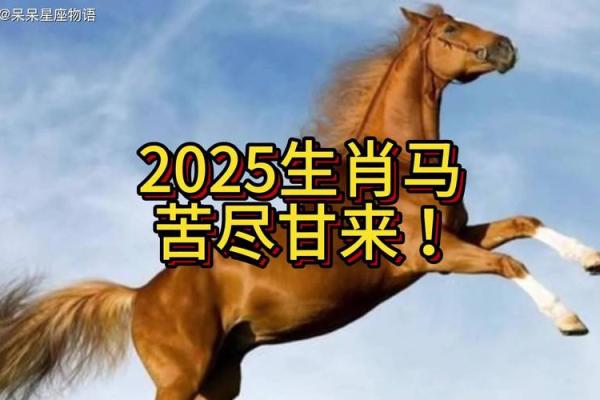 2025属马多少岁了 2025年属马人多少岁年龄计算与运势解析 2025属马多少岁了 2025年属马人多少岁年龄计算与运势解析