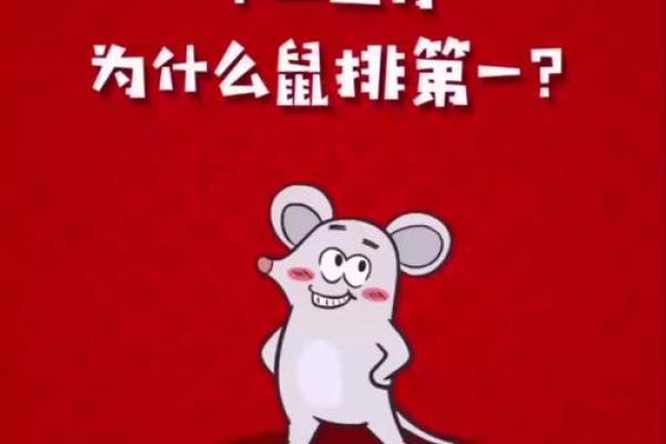 南北通商打一生肖今天晚上开什么生肖(南北通商猜生肖)