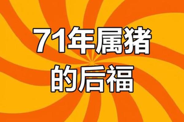 1971年男猪2025年运势完整版_1971年属猪男未来十年运程 1971年男猪2025年运势完整版_1971年属猪男未来十年运程