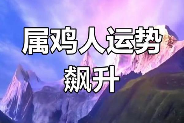 81年属鸡人今日财运解析财运走势与提升秘诀 81年属鸡人今日财运解析财运走势与提升秘诀