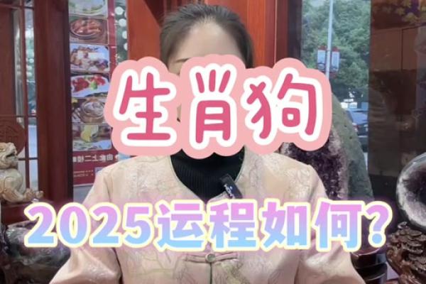 2025属狗的全年运势 2025年属狗1982年生全年运势如何 2025属狗的全年运势 2025年属狗1982年生全年运势如何