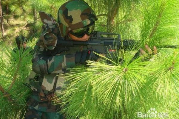 野战之师是什么生肖