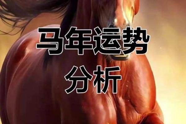 属马人2024年全年运势_属马人2024年全年运势运程 属马人2024年全年运势_属马人2024年全年运势运程