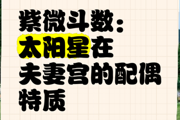 夫妻宫陀罗_夫妻宫陀罗星陷结不了婚 夫妻宫陀罗_夫妻宫陀罗星陷结不了婚