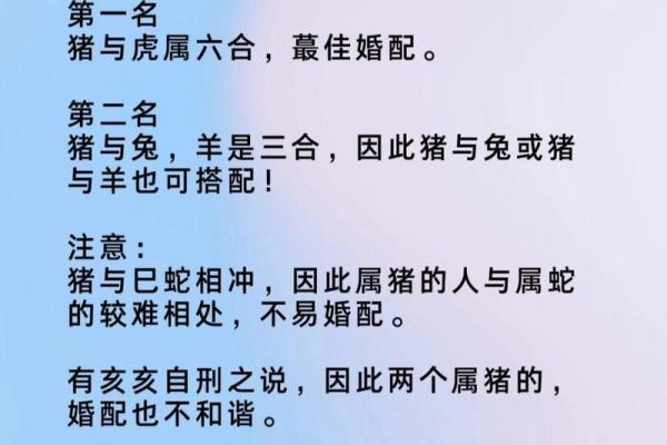 属蛇跟属猪的姻缘怎么样 属蛇的跟属猪的如果结婚会怎么样