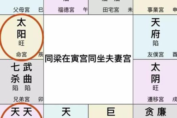 夫妻宫解析揭秘婚姻运势与命理奥秘