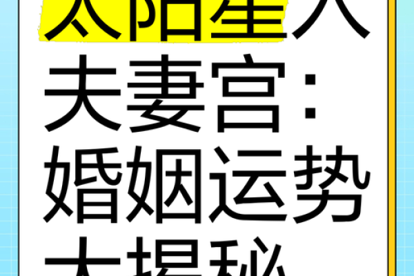 夫妻宫解析揭秘婚姻运势与命理奥秘