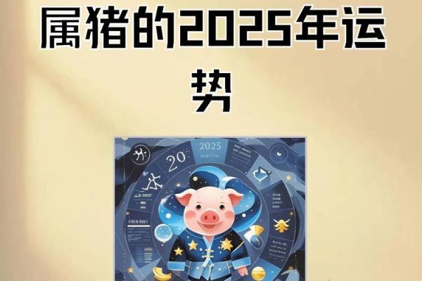 2025年属猪的人的全年运势_2025年属猪人全年运势详解财运事业感情全面解析