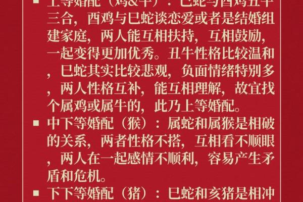 女属蛇比男属鸡大4岁 鸡遇蛇必有钱 女属蛇比男属鸡大4岁 鸡遇蛇必有钱