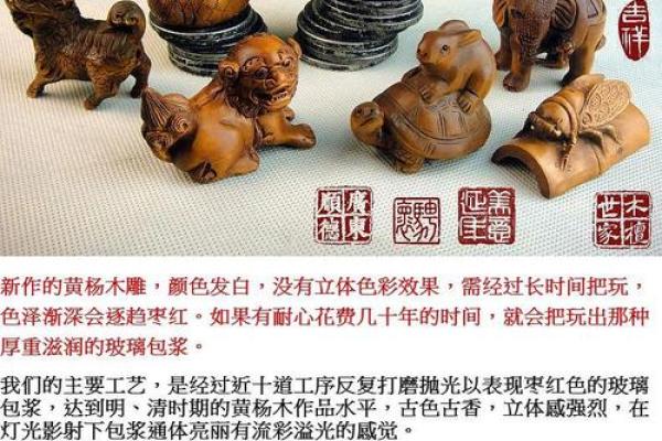 后院起火指什么生肖 后院起火指什么生肖